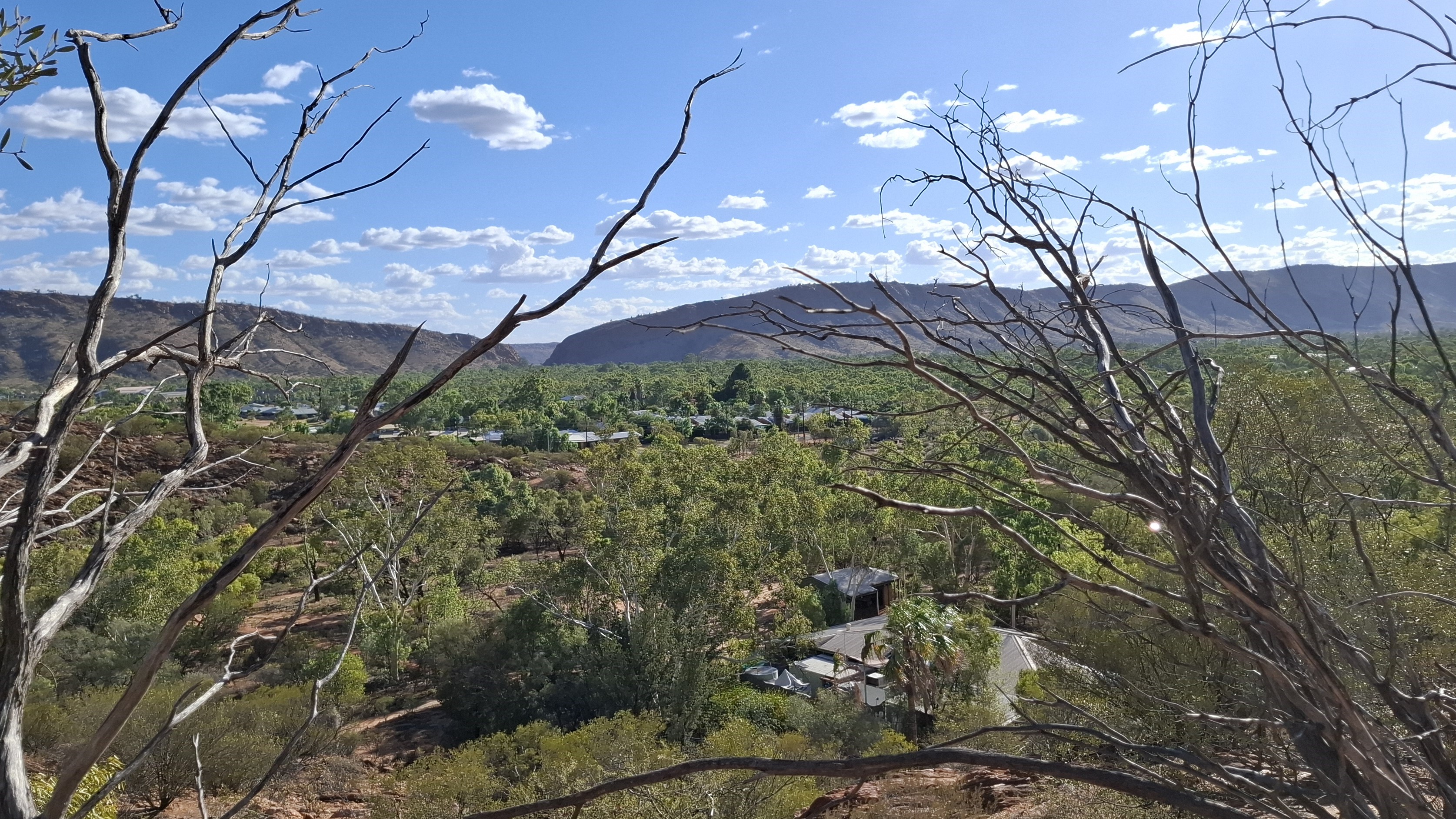 Vegetation and mountains in Alice Springs
